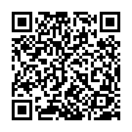 QR code for 919PVZ