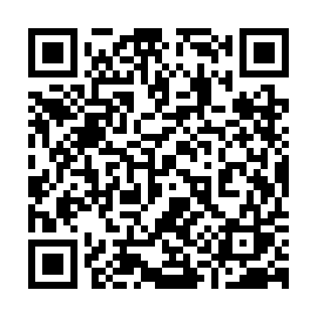 QR code for 919SAS
