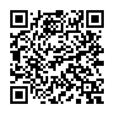 QR code for 919USP