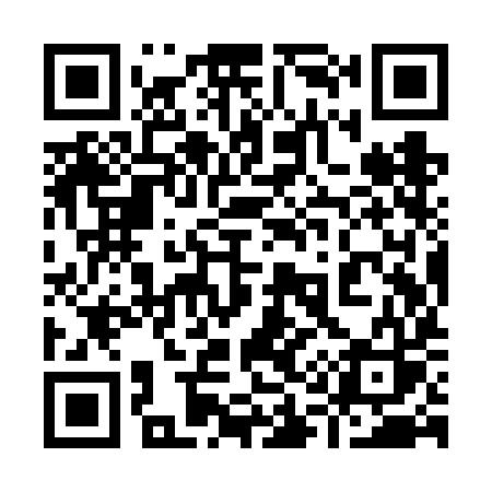 QR code for 919VIS