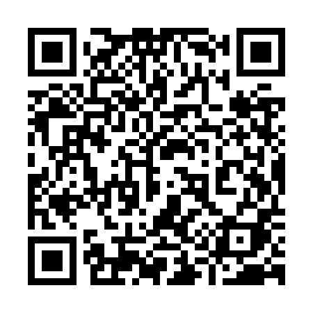 QR code for 919ZPI