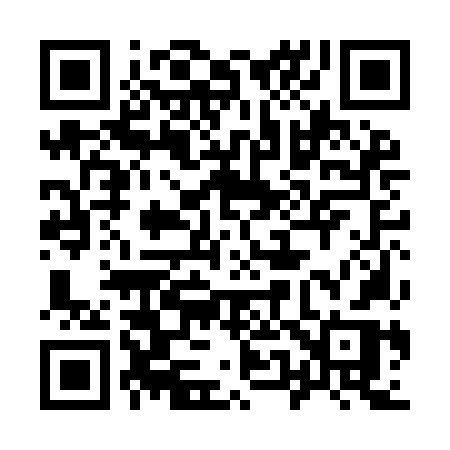 QR code for 950INR