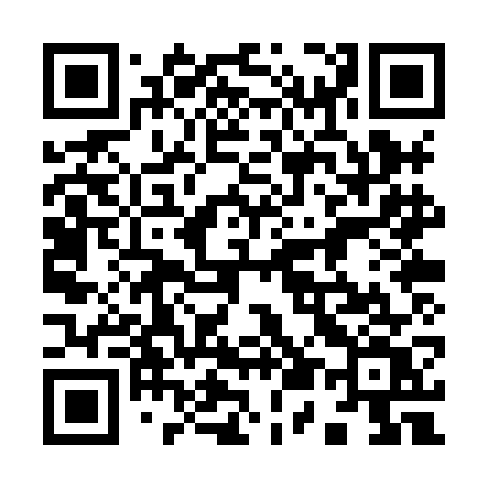 QR code for 950XGV