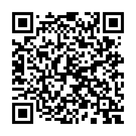 QR code for 953FIA