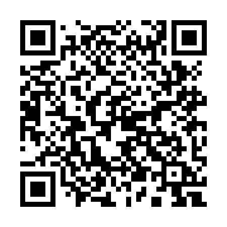 QR code for 953JIA
