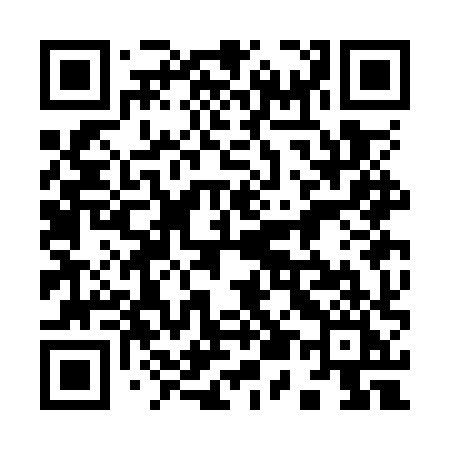 QR code for 953OXI