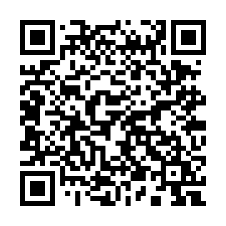 QR code for 953TJU