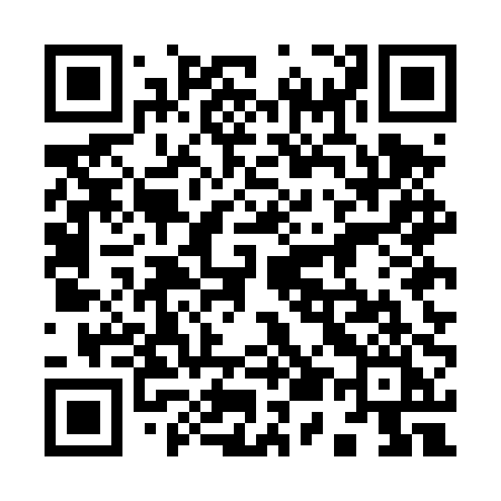 QR code for 955DPI