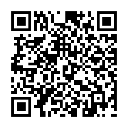 QR code for 955ICA