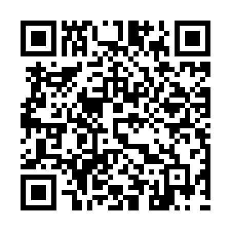 QR code for 955ICD