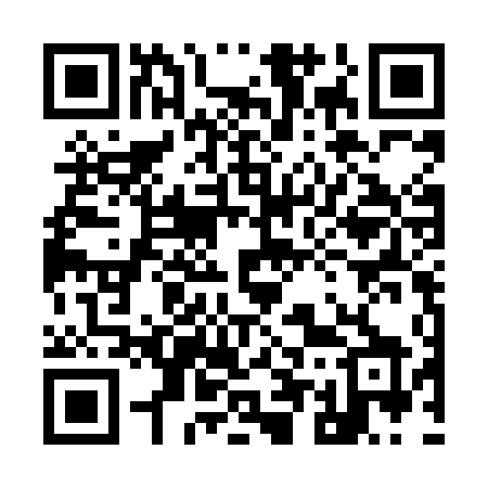 QR code for 955LDX