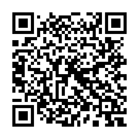 QR code for 955OPT