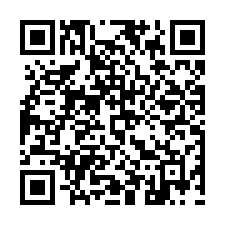 QR code for 956BSM
