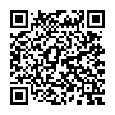 QR code for 956DFX