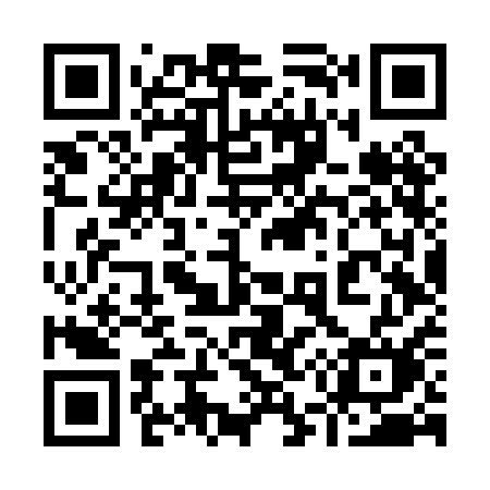 QR code for 956PAM
