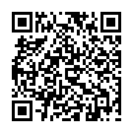 QR code for 956SHI