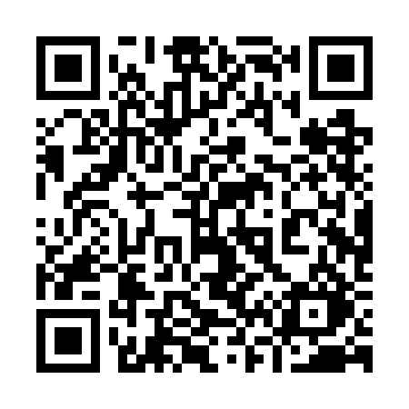 QR code for 960WBO