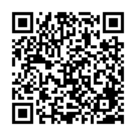 QR code for 966CTF