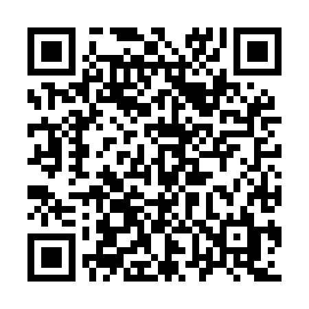 QR code for 966MHL