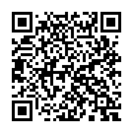 QR code for 991ASF