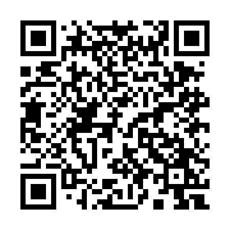 QR code for 991DDO