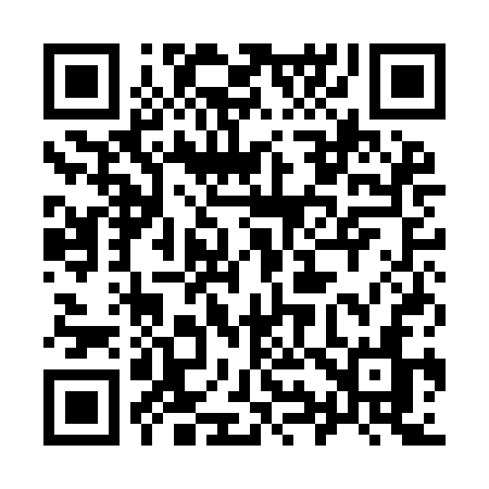 QR code for 991ICN