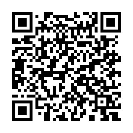 QR code for 991OOS