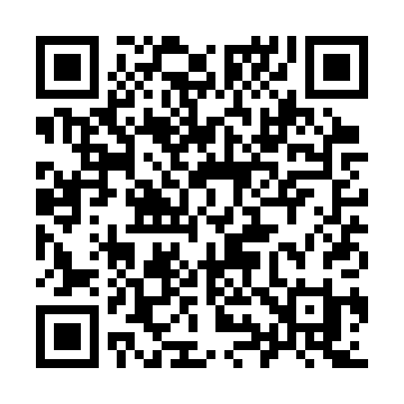 QR code for 991SPI