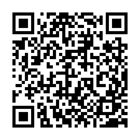 QR code for 991SUR