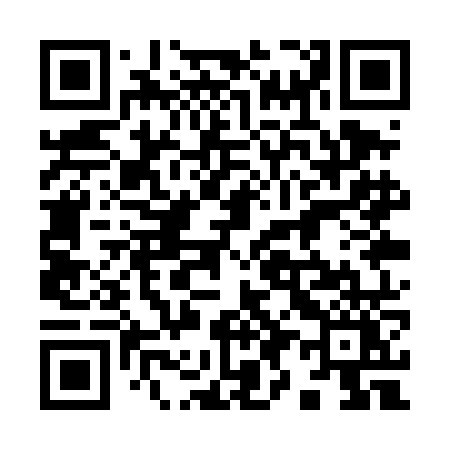 QR code for 991TNY