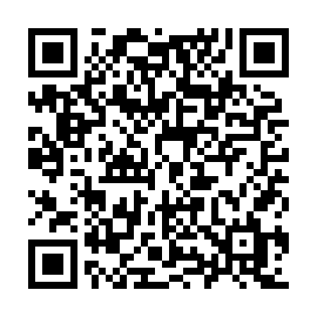 QR code for 991XFL