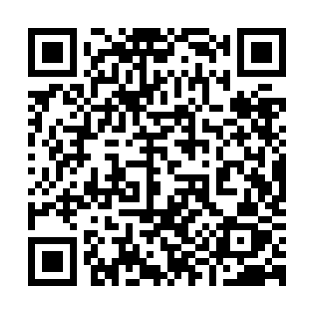 QR code for 991ZKZ