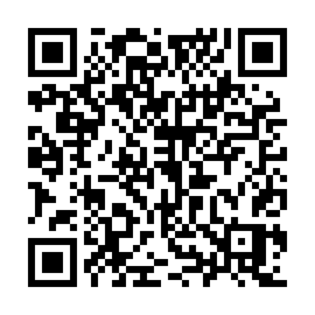 QR code for 993LDS