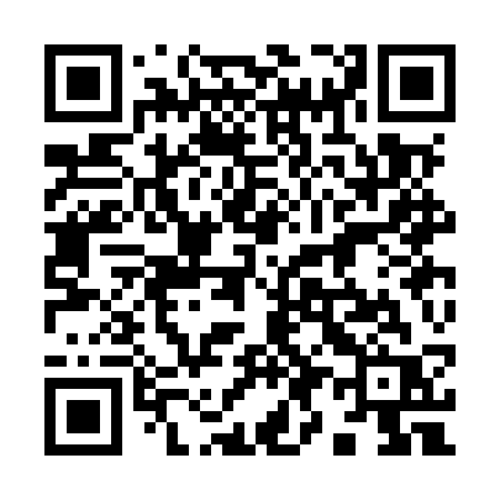 QR code for 993MSR