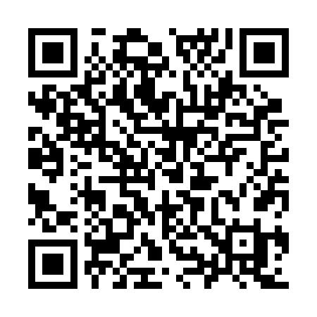 QR code for 993RFI