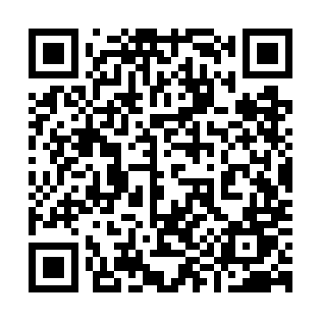 QR code for 993WMT