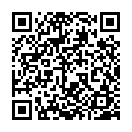 QR code for 996QSR