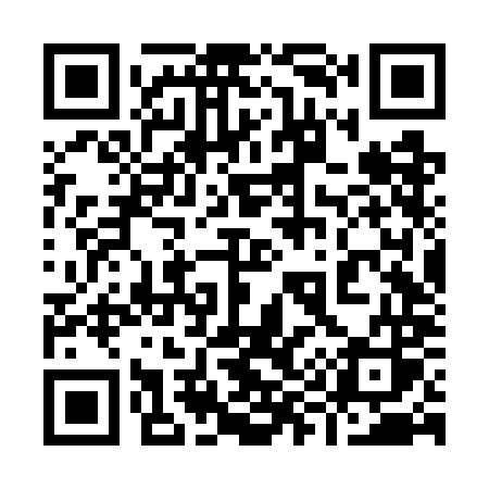 QR code for 996WMS
