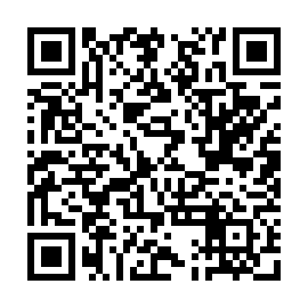 QR code for AAA461