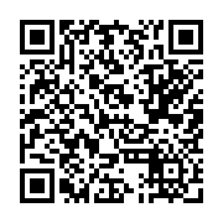 QR code for AAM336