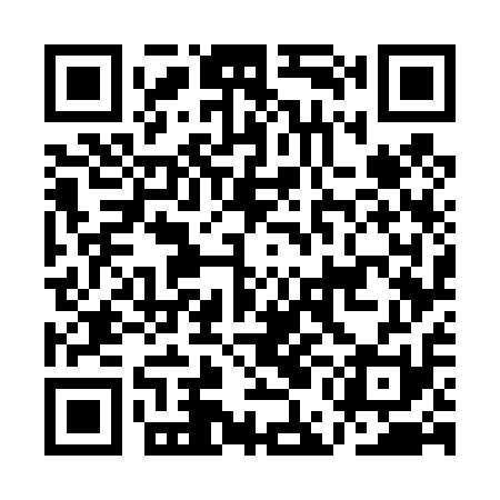 QR code for AEG411