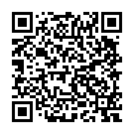 QR code for AEI491