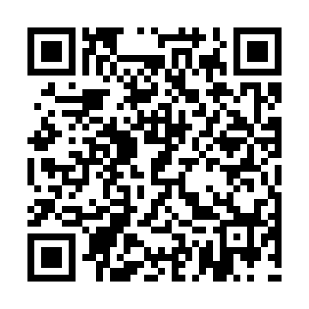QR code for AGU338