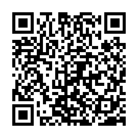 QR code for ANK271