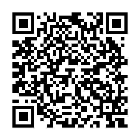 QR code for APA295