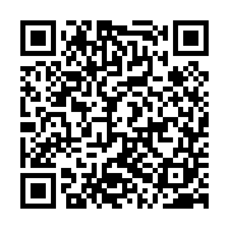 QR code for APG041