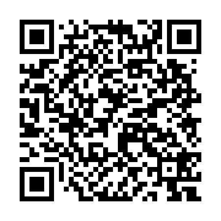 QR code for AYP728