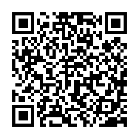 QR code for AYX498