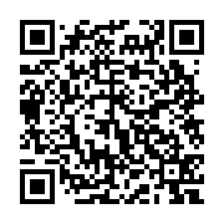 QR code for BAB335