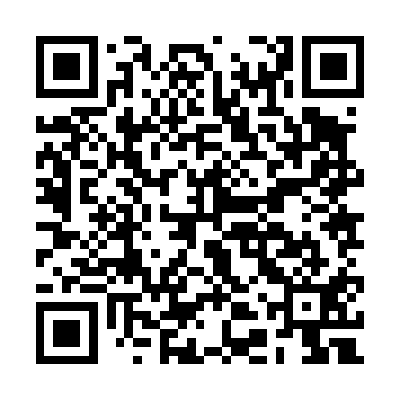 QR code for BDZ411
